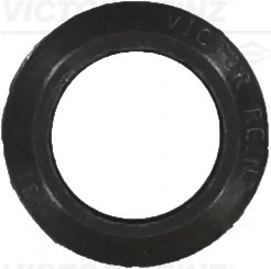 Seal Ring, valve stem